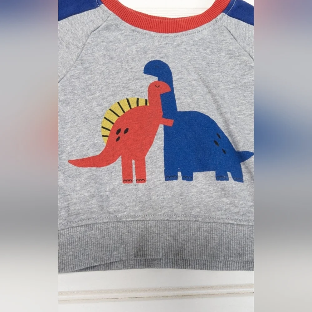 Hanna Andersson Gray Sweatshirt with Dinosaur Print - Picture 3 of 6
